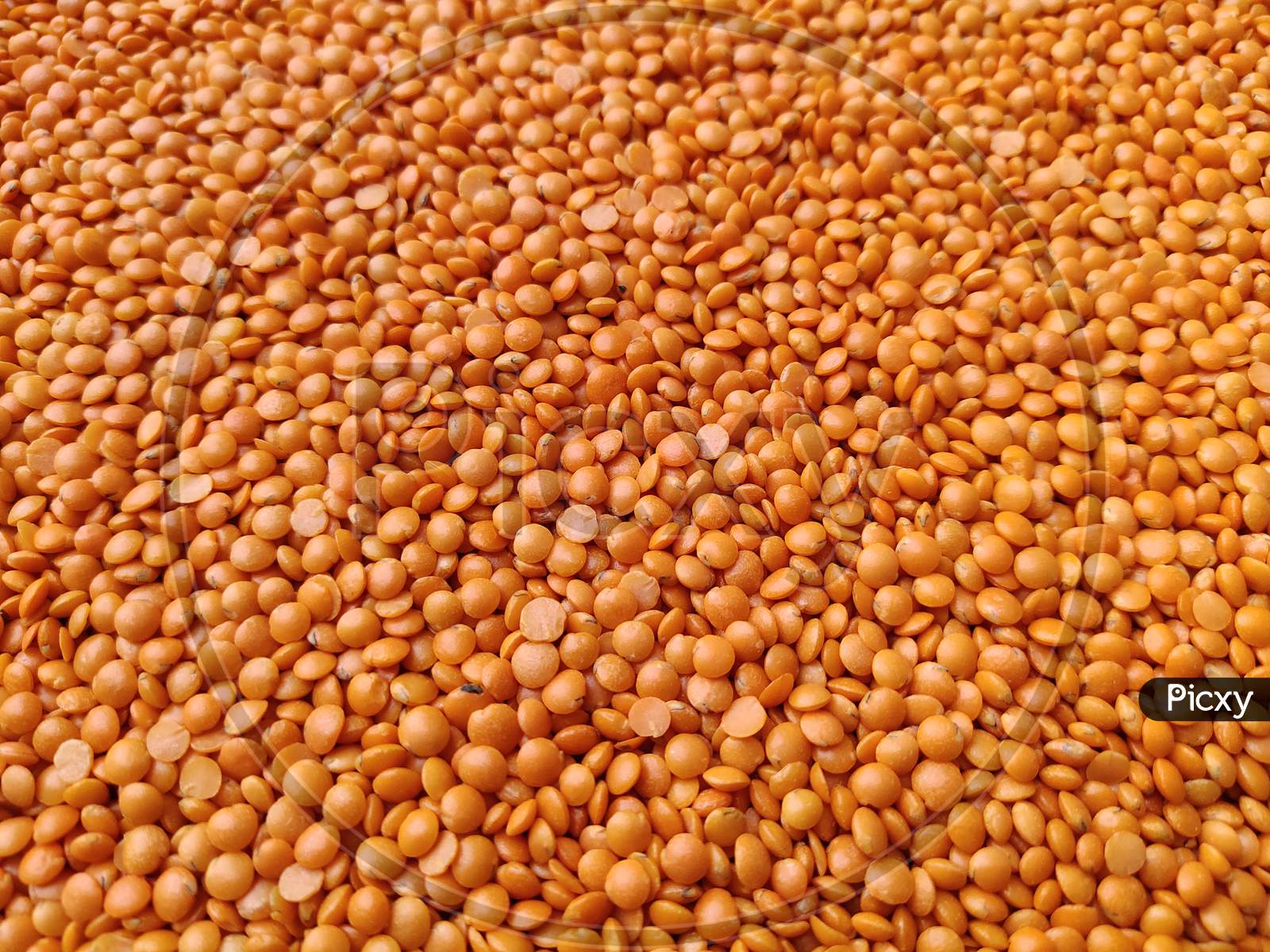 Orange lentils (masoor dal) background, texture