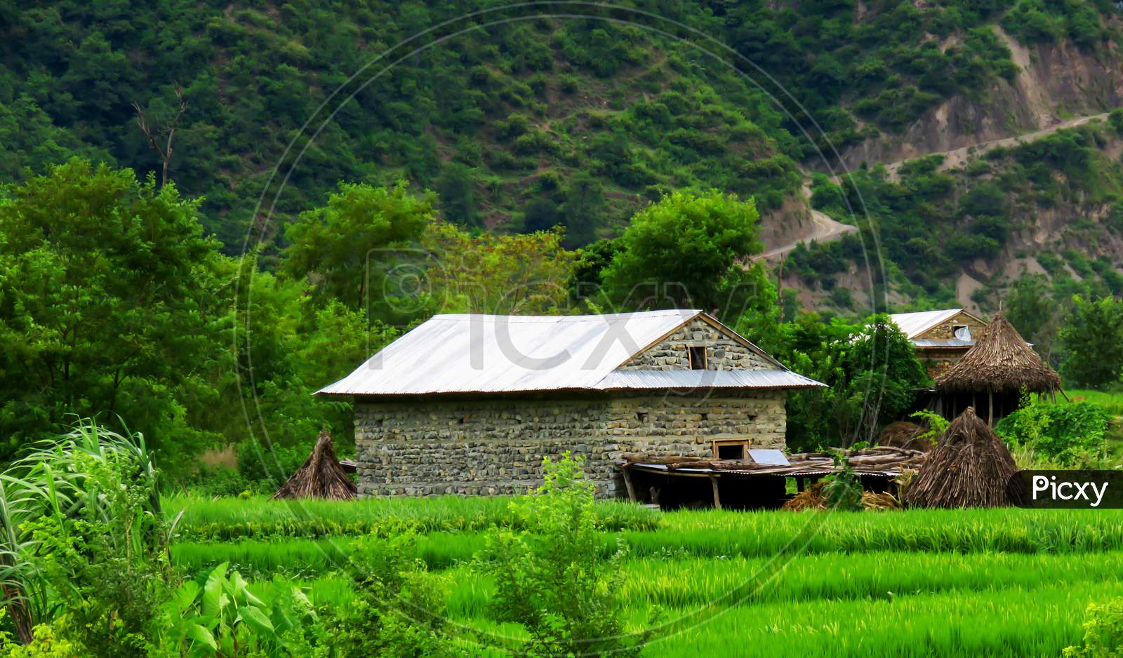 Beautiful Village House and the mountain Surrounded by Paddy Fields In Nepal, old house in the mountains.