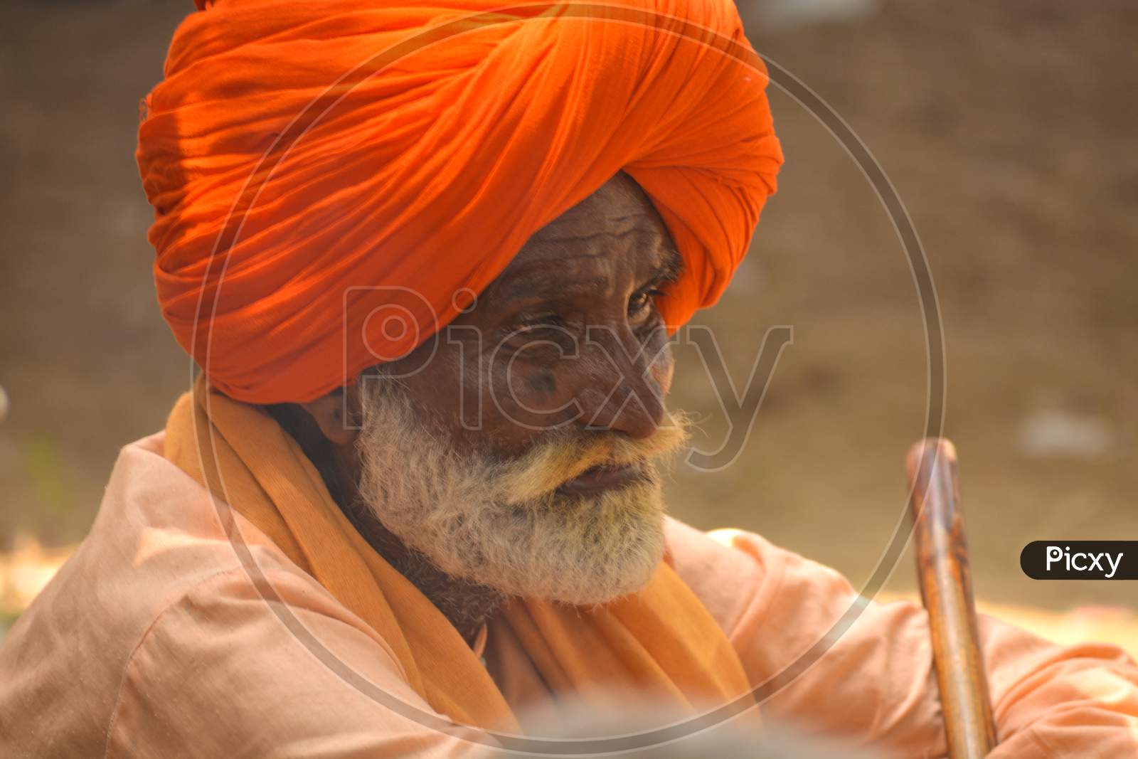 Head Shot Of Elderly Old Man Indian Shivite Sadhu With Orange Colored Turban On His Head With Grey Beard