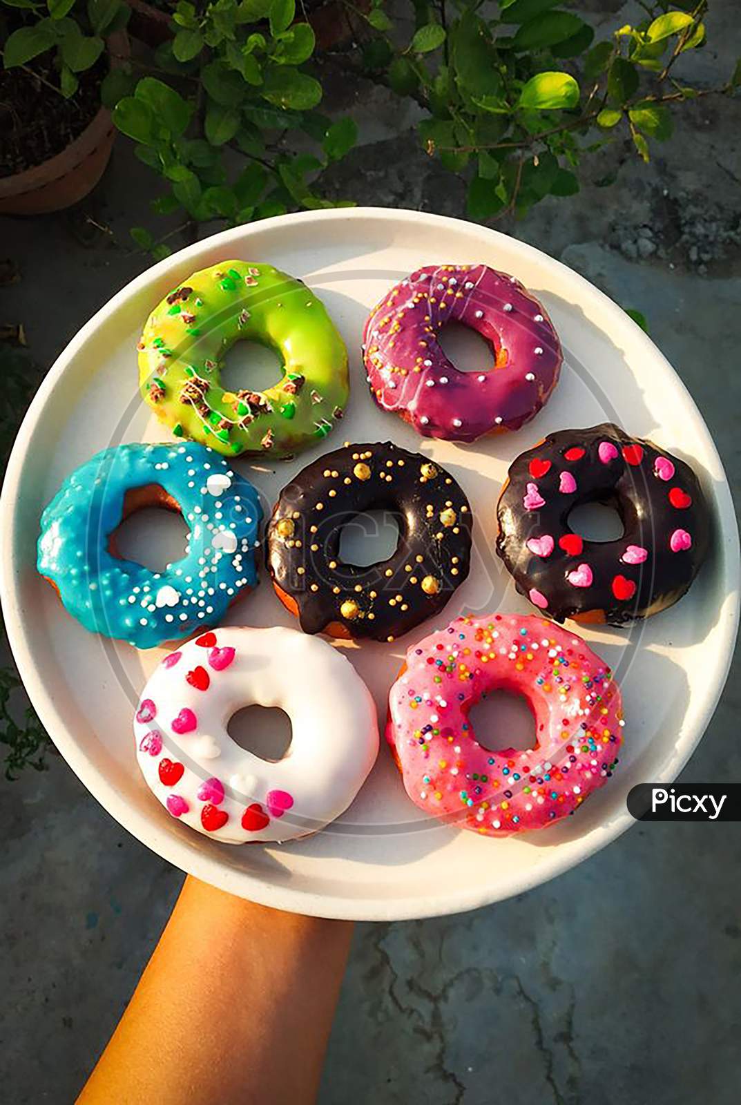 Homemade Chocolate Glazed Colourful Donuts