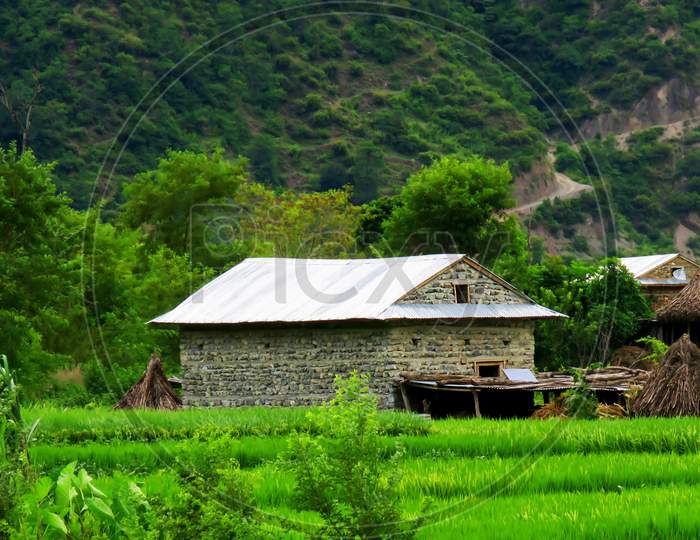 Beautiful Village House and the mountain Surrounded by Paddy Fields In Nepal, old house in the mountains.