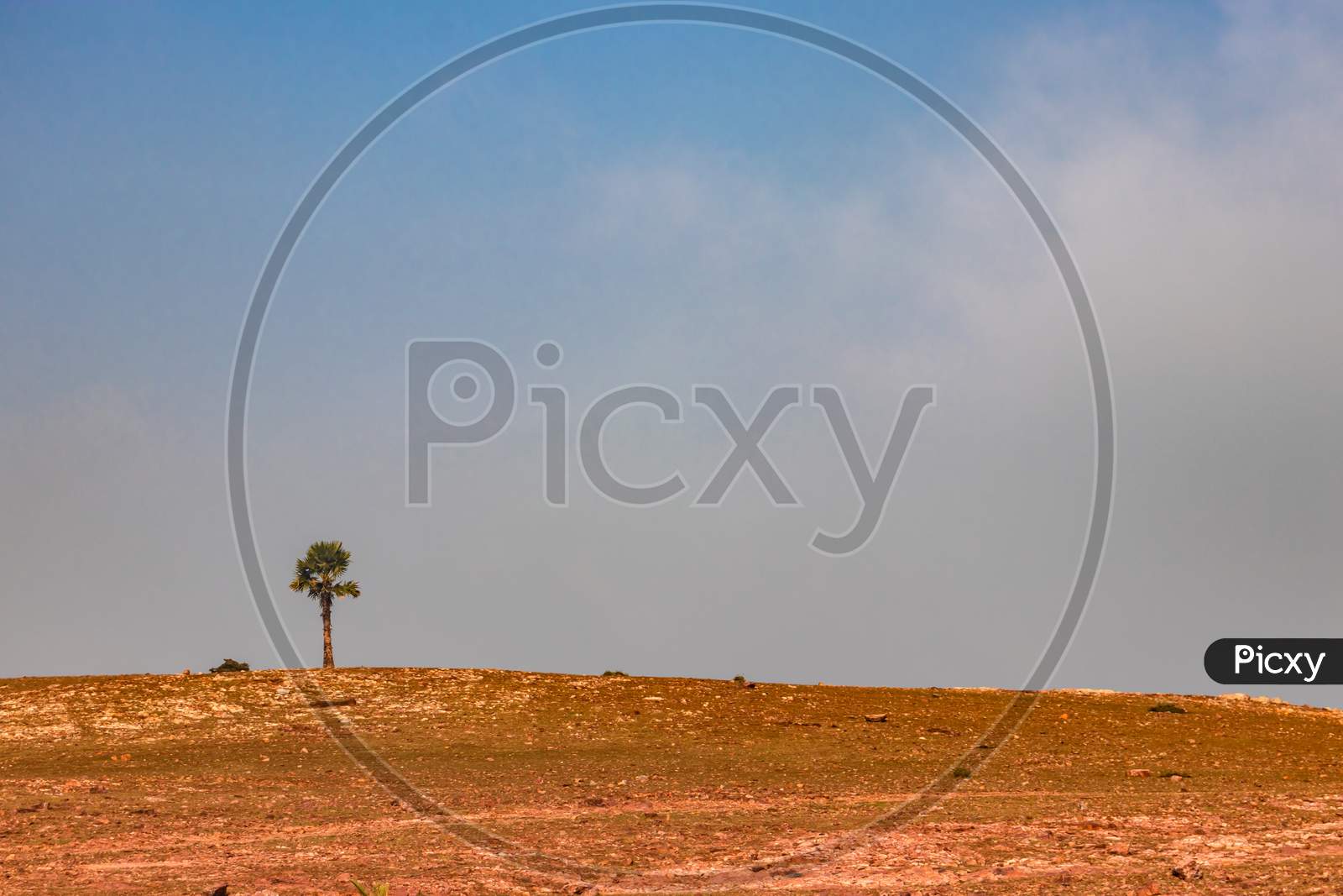 Image of Countryside Empty Rural Area Cover With Mist At Morning ...