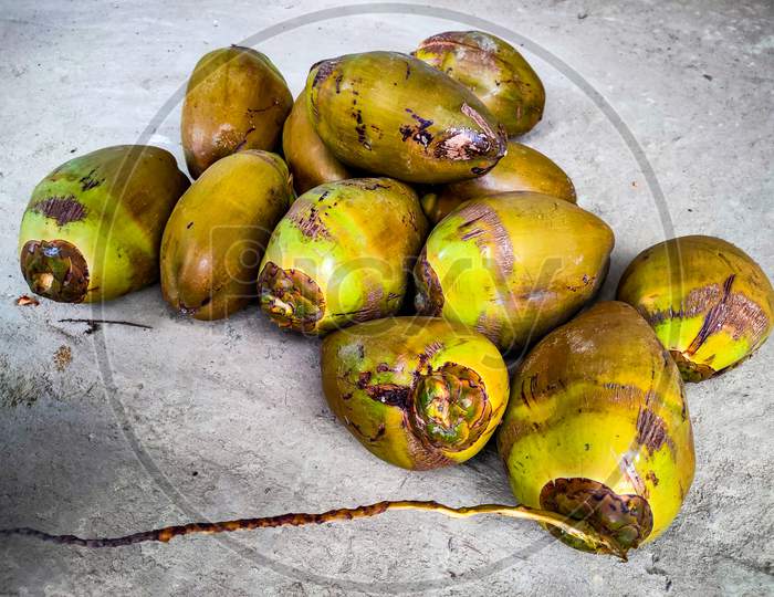 Coconut Fruits Many For Organic And Healthy Coconut Water Drink Sell