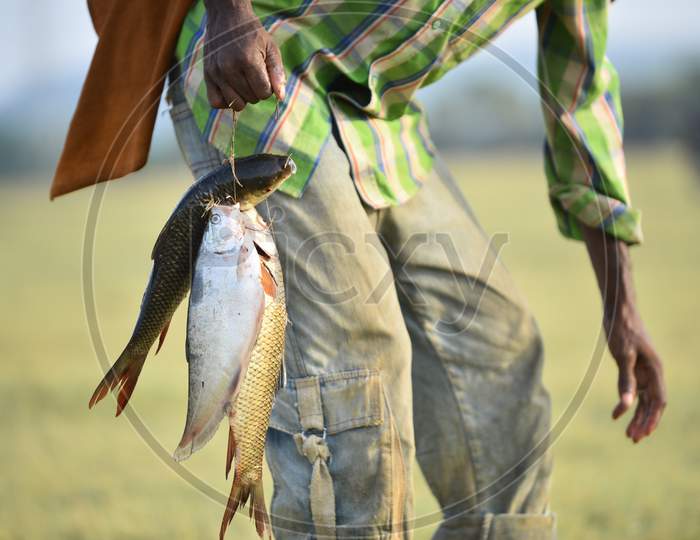 A man carries fish catch from a pond, may 13, 2020.