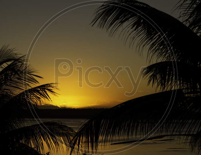 Shocking And Beautiful Sunset Between Coconut Or Palm Trees. Tropical Vacation Landscape.