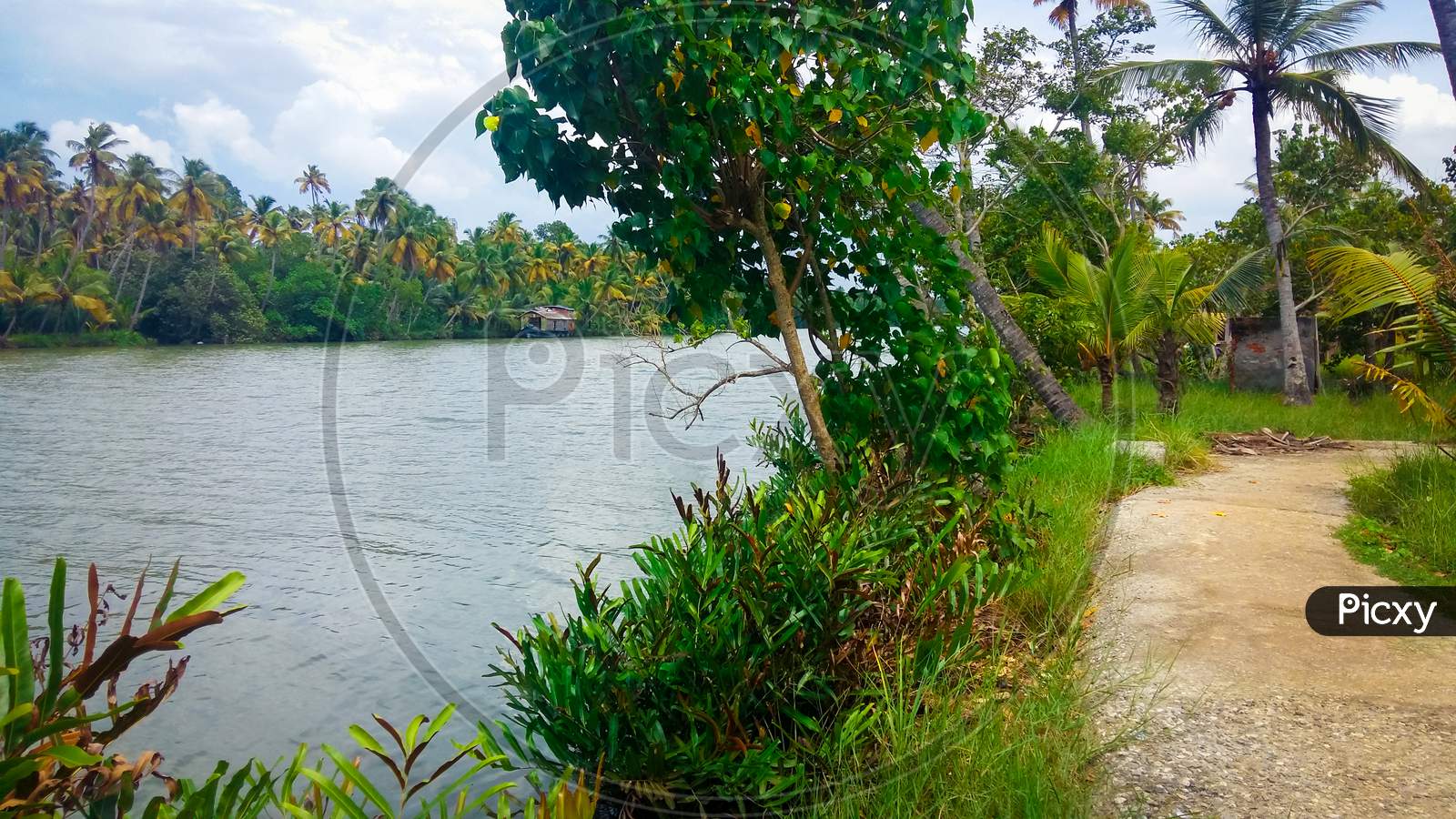 Ashtamudi Lake In Kerala Filled With Green Trees On Shore. Kerala Backwaters.