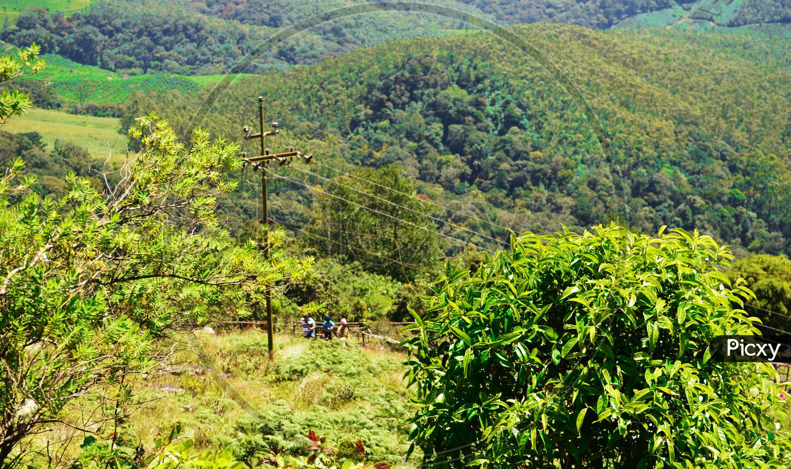 Hill station at Kerala in the summer