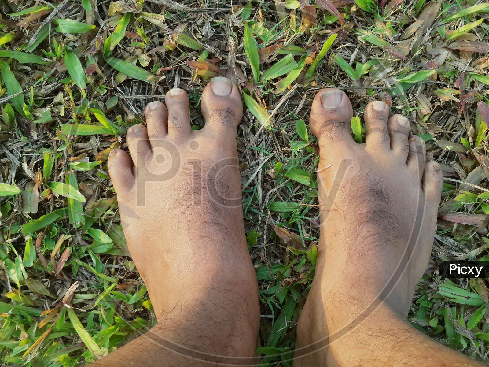Barefoot standing on grass