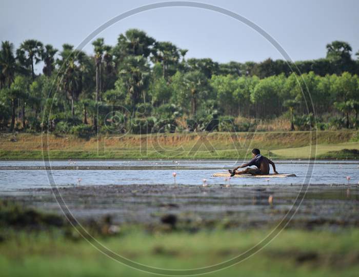 A fisherman uses a thermocol sheet to catch fish in a pond, Aswaraopet, May 13, 2020.