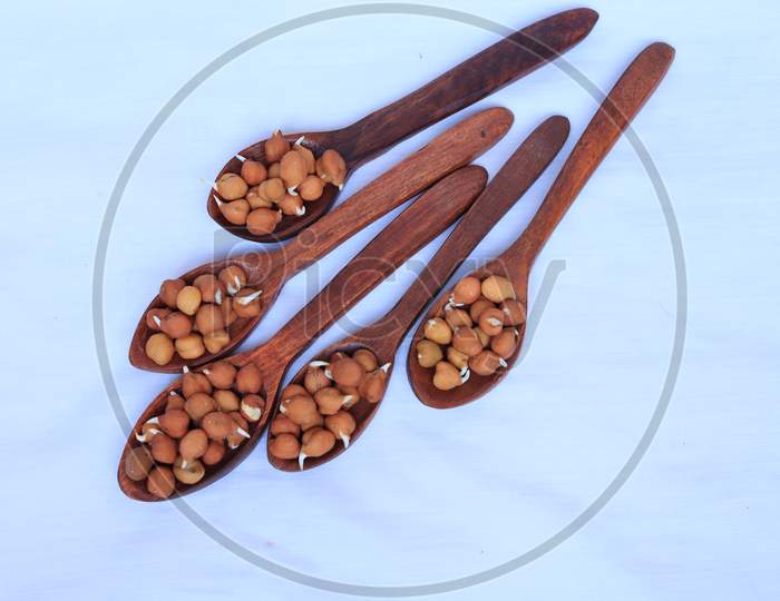 fresh germinated chickpeas with wooden spoon on white background