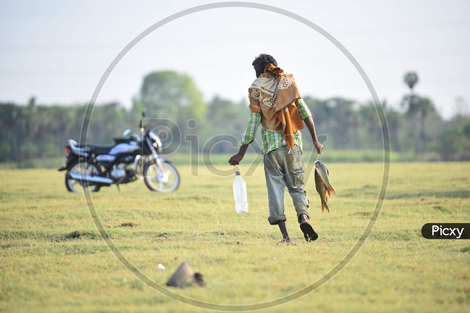 A man carries fish catch from a pond, may 13, 2020.