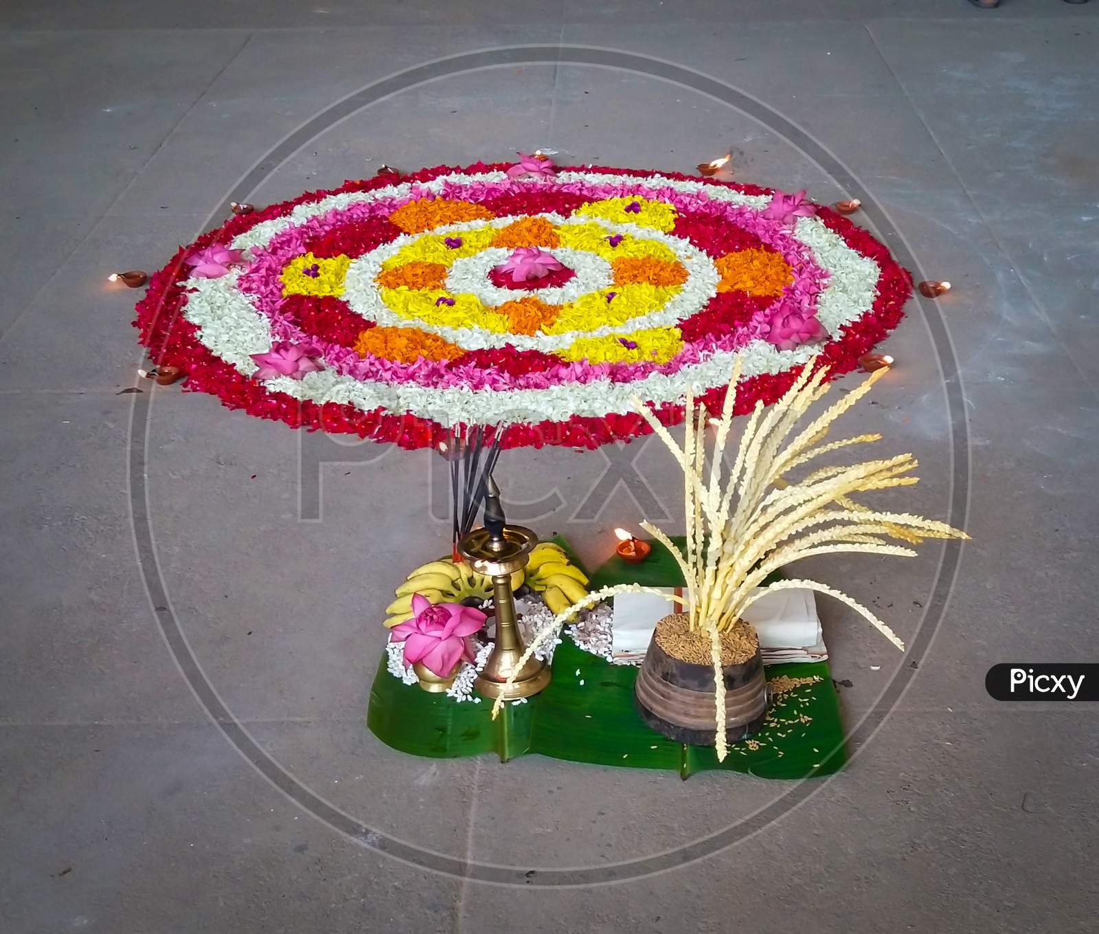 Pookalam Flower Rangoli Floral Decorations For Onam Festival Of Kerala India