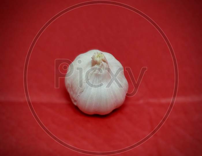 Garlic Images Vintage Stock Photos
