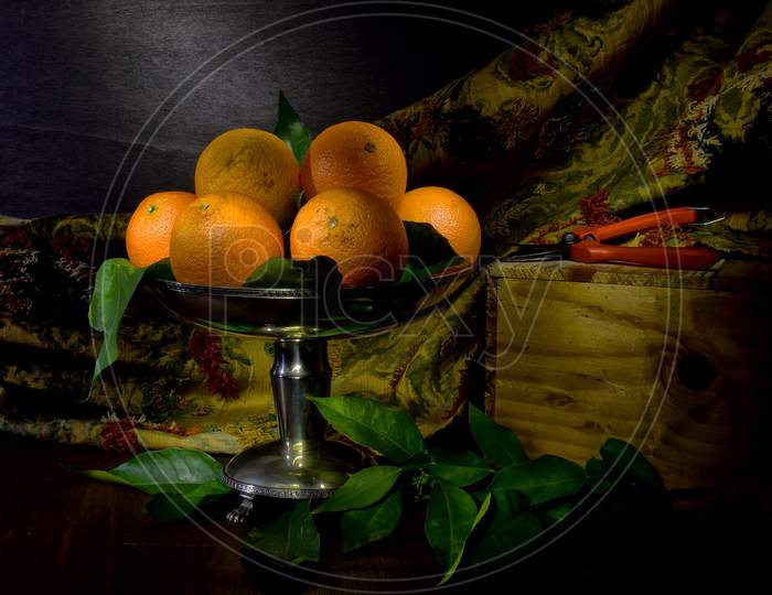 The Mandarin Orange Or Citrus Reticulate Blanco Is A Major Cash Crop Of The Darjeeling Hills