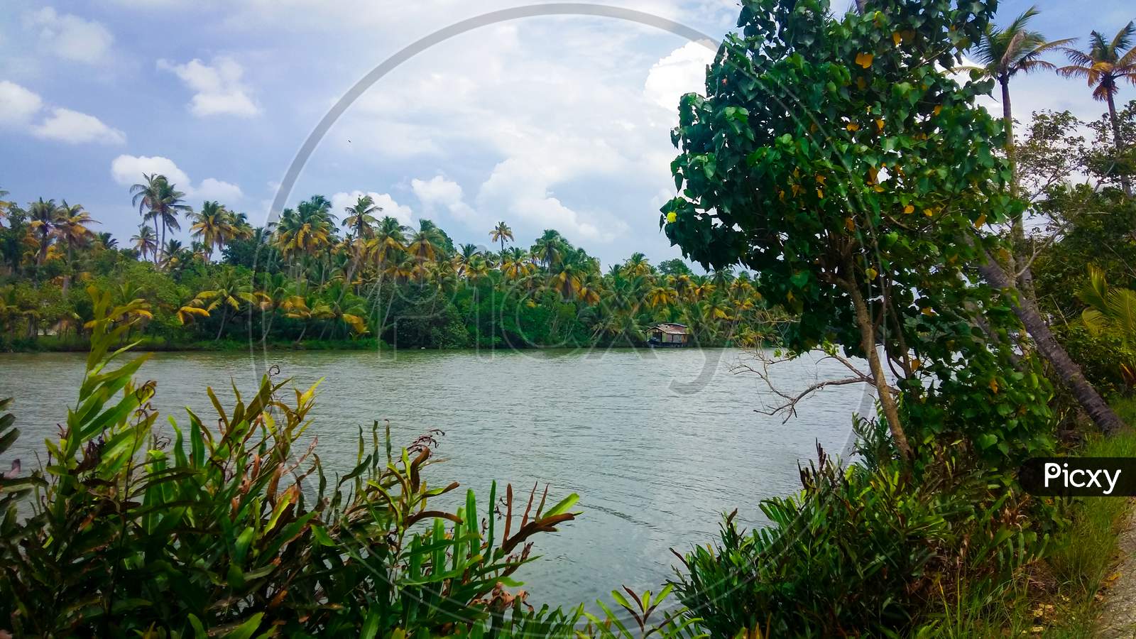 Ashtamudi Lake In Kerala Filled With Green Trees On Shore. Kerala Backwaters.
