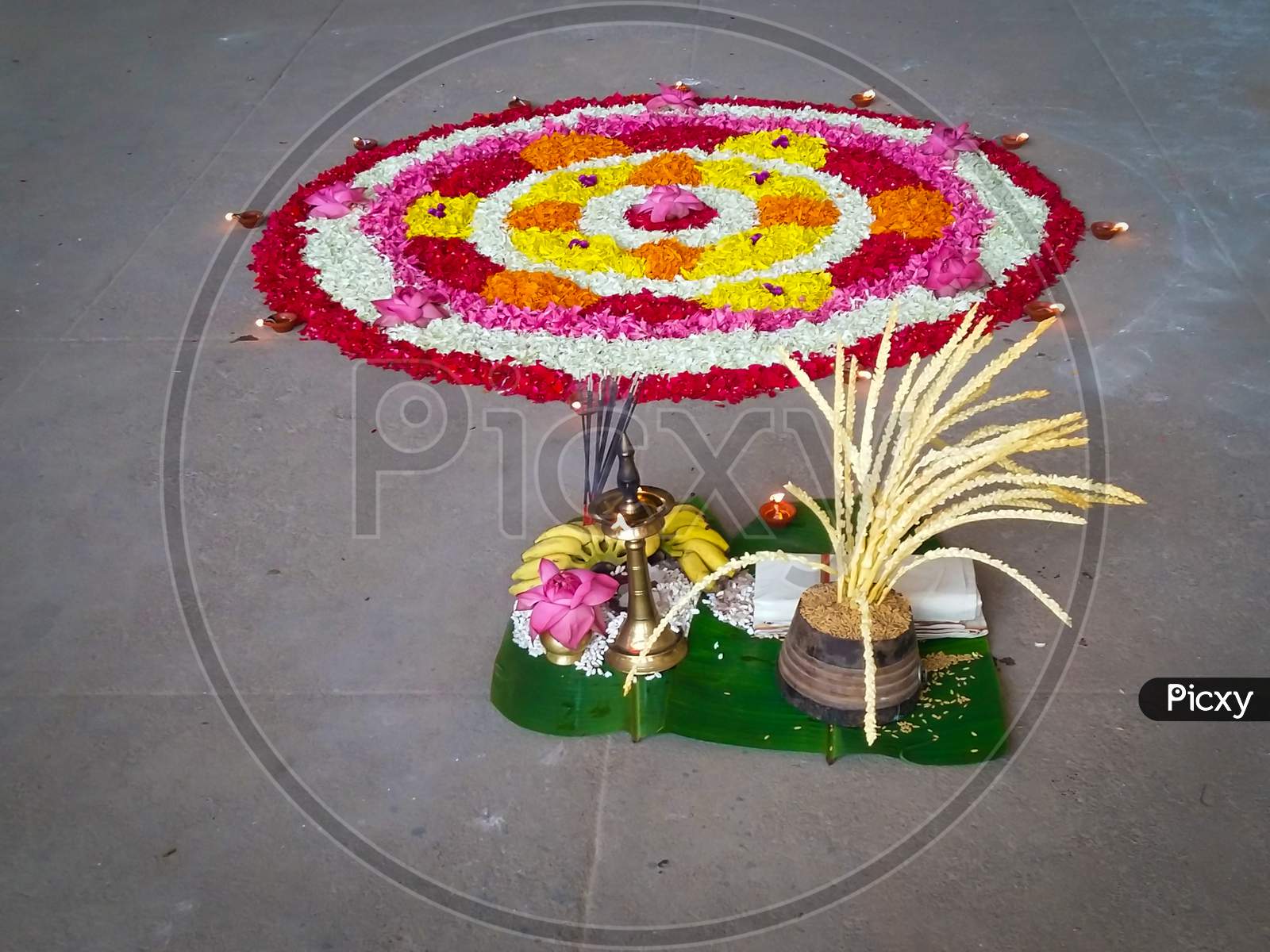 Pookalam Flower Rangoli Floral Decorations For Onam Festival Of Kerala India