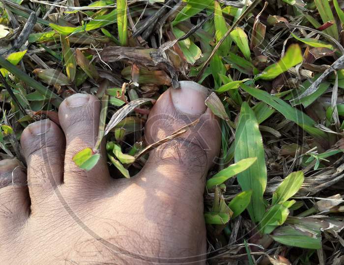 Barefoot on grass closeup shot
