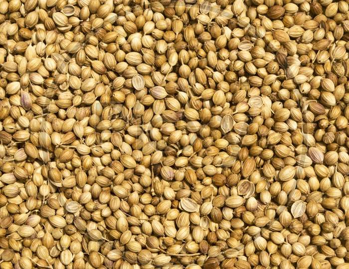 Close Up View From Top Of Coriander Seeds