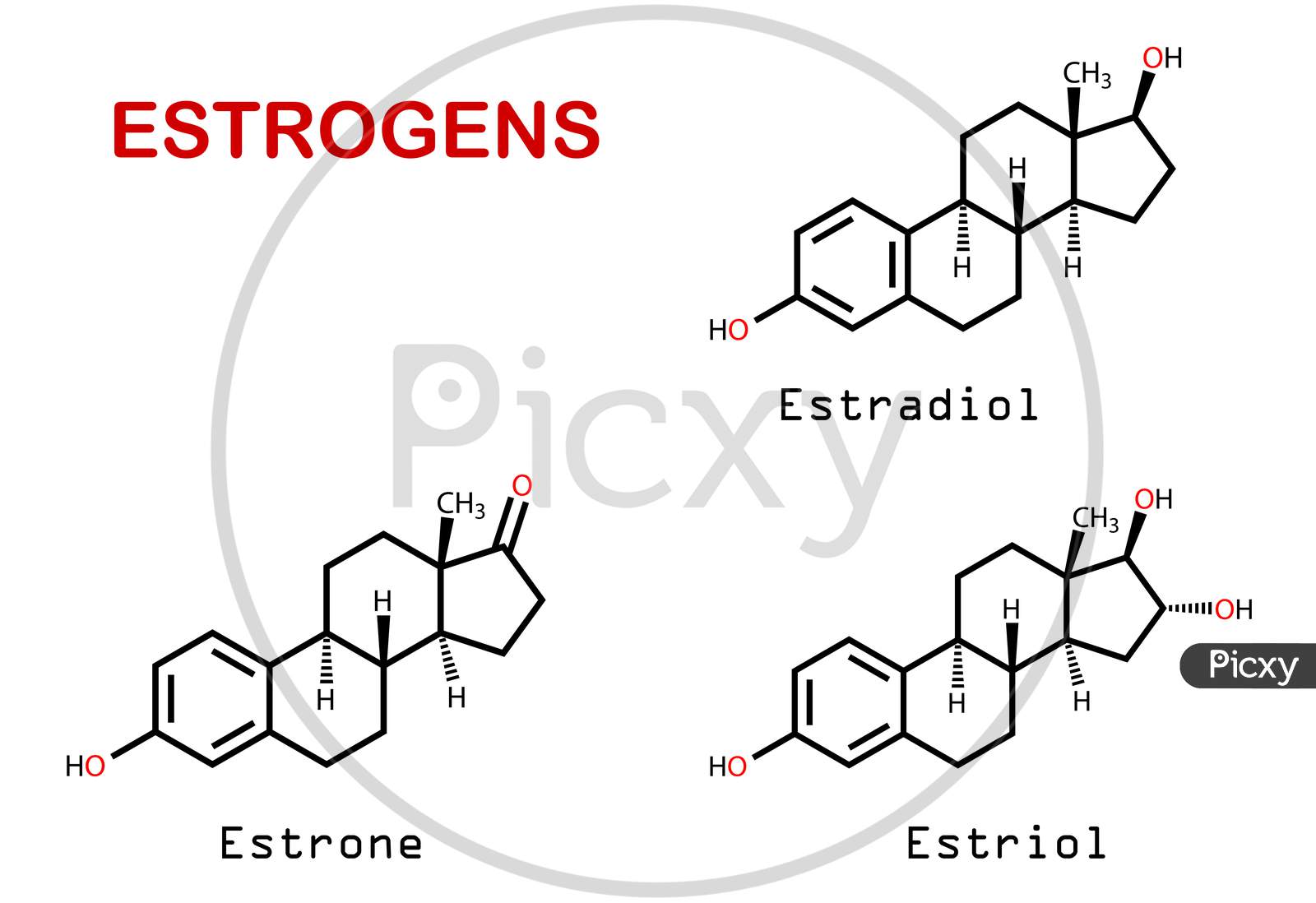 Image of Female Sex Hormones Estrogenes-NB514895-Picxy