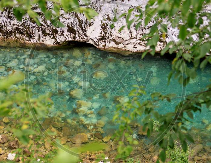 Turquoise Clear Water River Through Vegetation