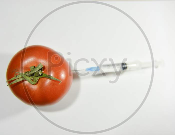 Unfocused Syringe Injecting Tomato. Gmo And Laboratory Studies Concept
