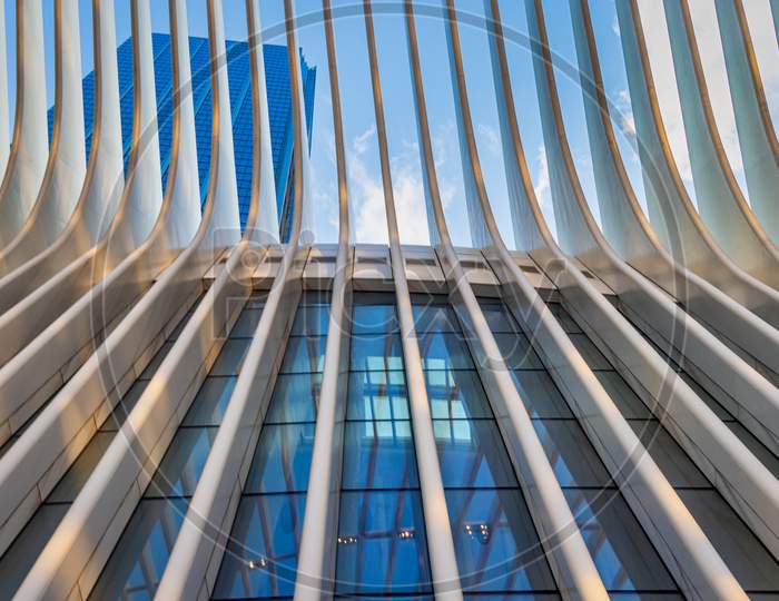 World Trade Center Transportation Hub ( Oculus)  in  New York city Financial District day light low angle close up view