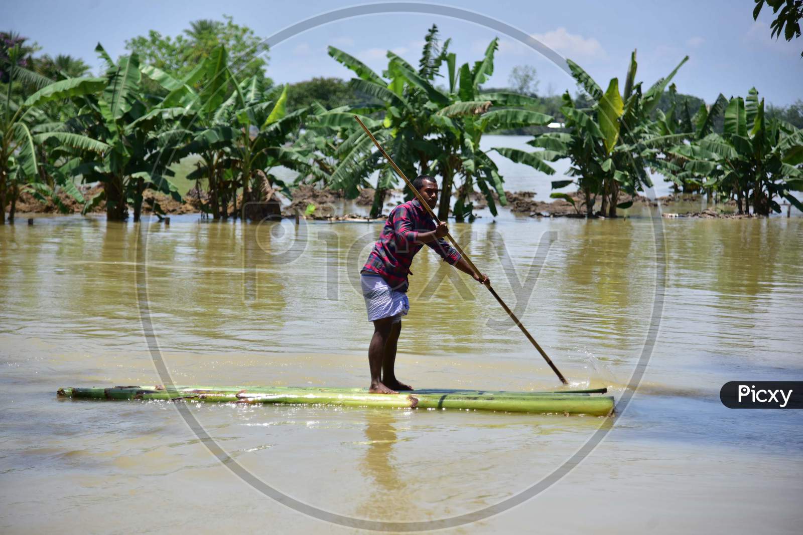 A Man Row A Makeshift Banana Raft At Flood Affected  Doboka  In  Hojai  District Of Assam  On May 28,2020.