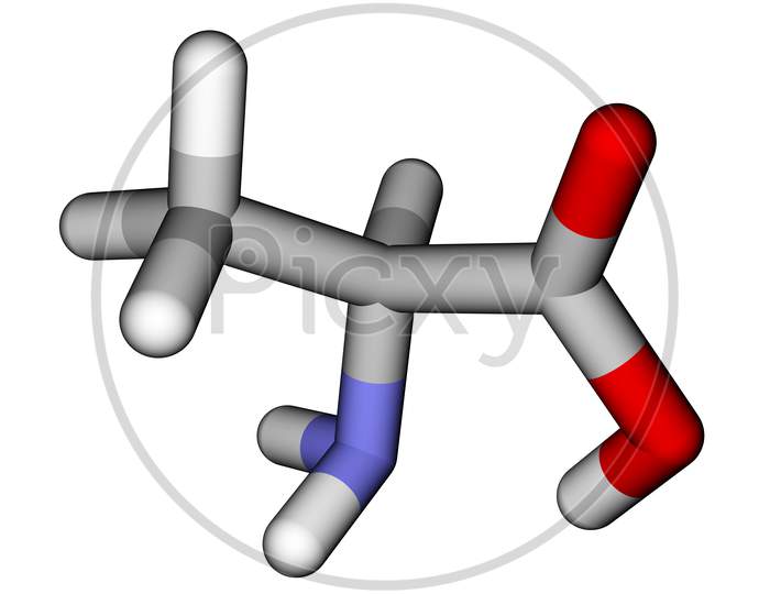 Amino Acid Alanine 3D Molecular Model