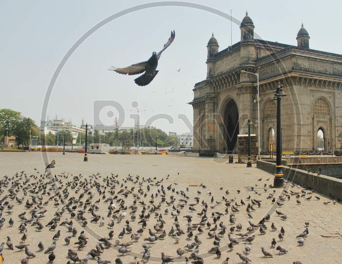Pigeons occupy the deserted Gateway of India monument during the first day of a 21-day government-imposed nationwide lockdown as a preventive measure against the COVID-19 coronavirus, in Mumbai, India on March 25, 2020.