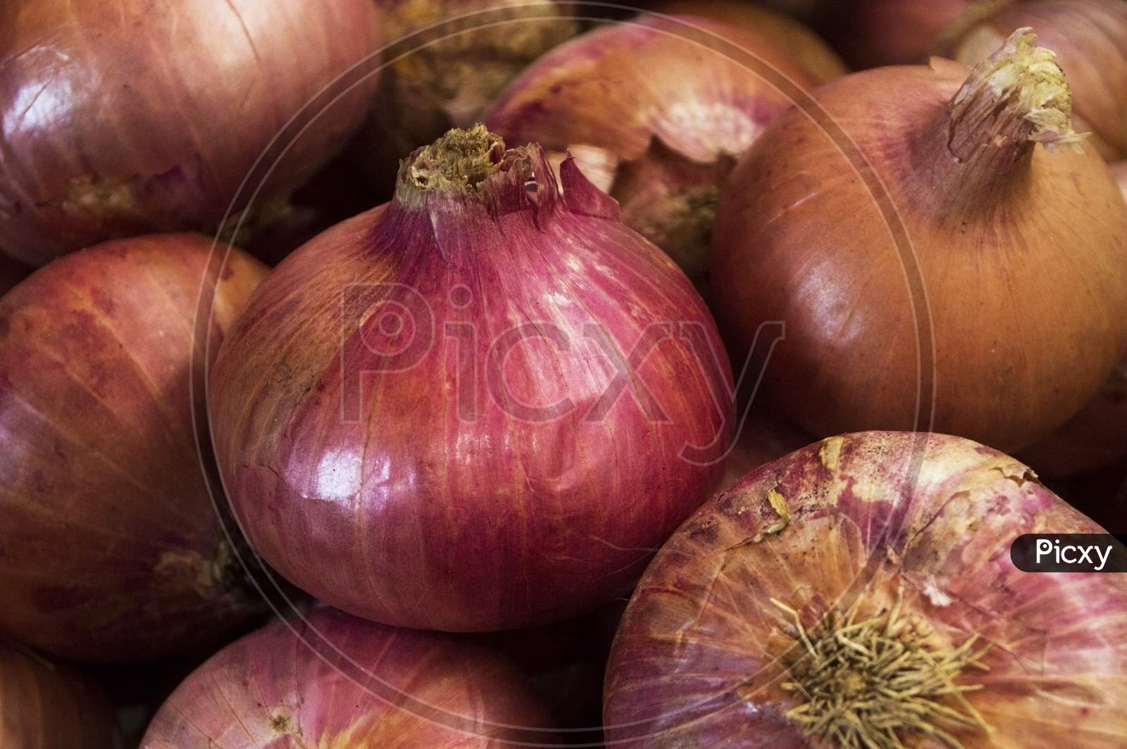 Close Up View Of Organic Raw Red Red Onion