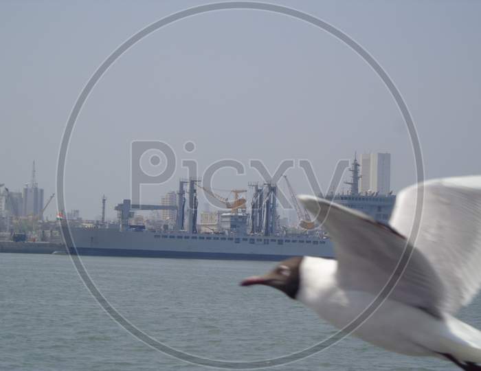 Mumbai sea with bird