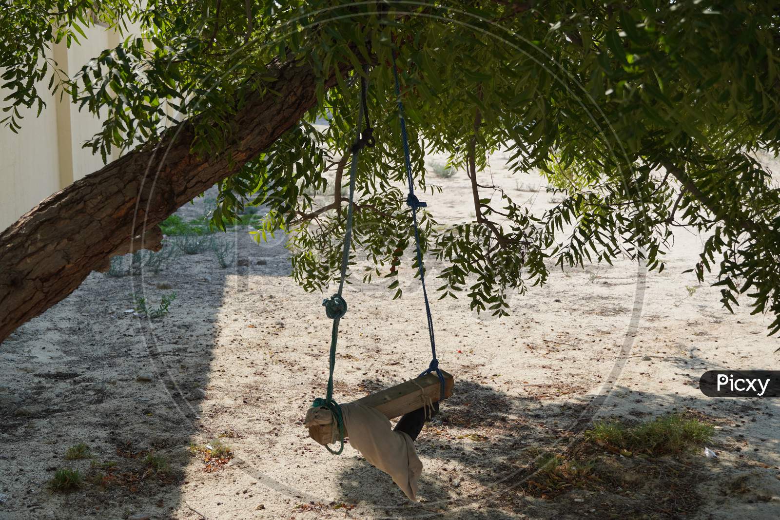 A Dirty Children Tree Swing. Wooden Swing Still Under The Trees In The Fall Leaves And Winter. Wooden Swing On Ropes Under The Big Tree In A Shaded Sandy Area.