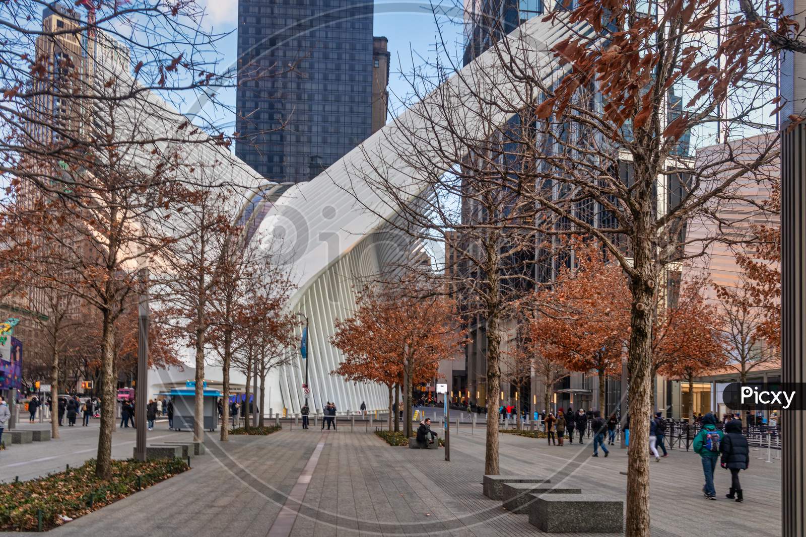 World Trade Center Transportation Hub ( Oculus)  in NYC Financial District day light view  with trees and people walking