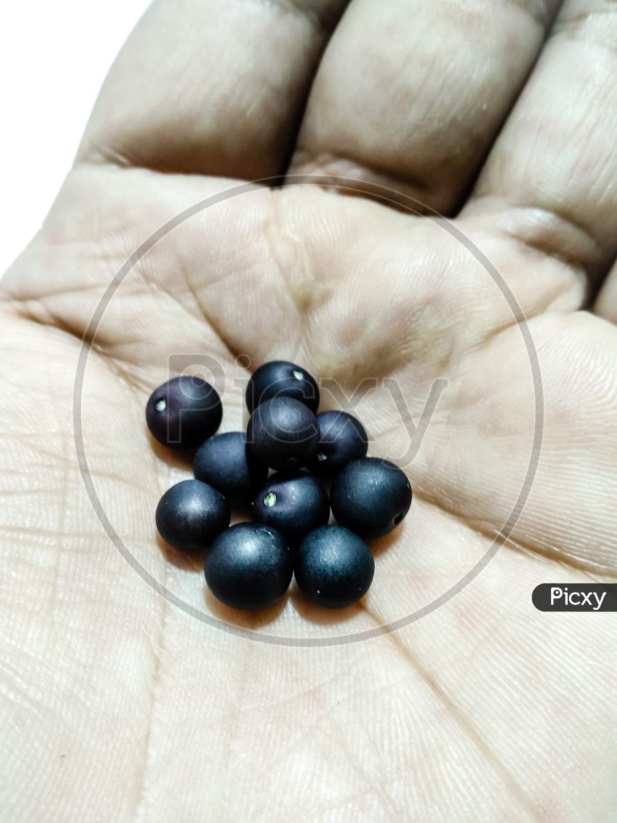 A picture of blackberry