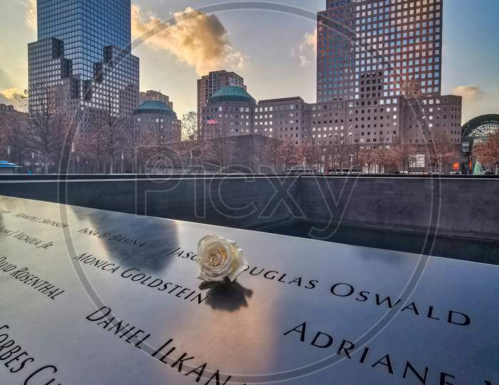 9/11 memorial  in NYC with white flower in foreground and skyscrapers in background