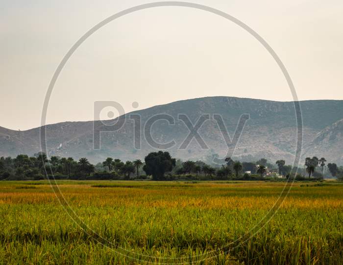 Crop Farming Fields In Countryside Rural Village Area With Mountain Background