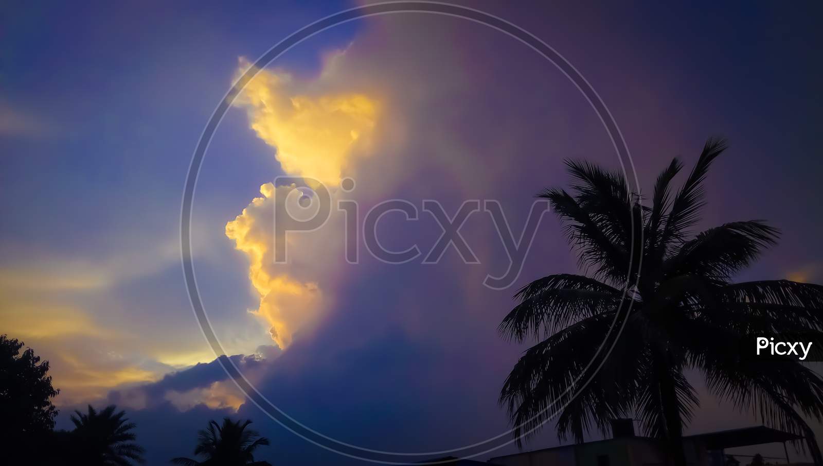Clouds emerging morning time and coconut tree.