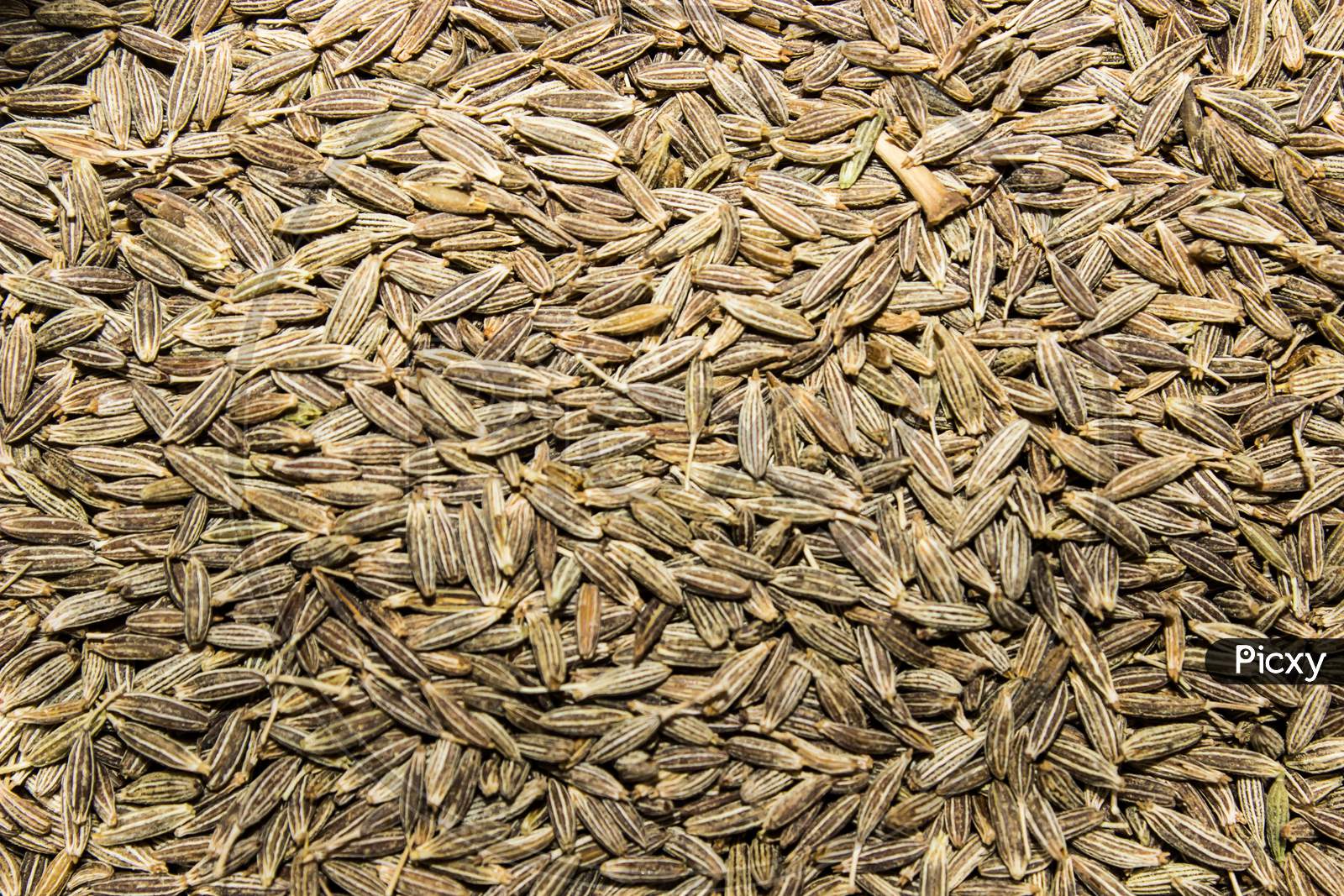 A picture of cumin seeds