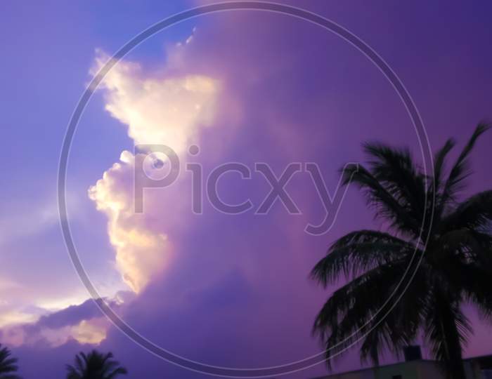 Clouds emerging evening time and coconut tree lockdown covid-19