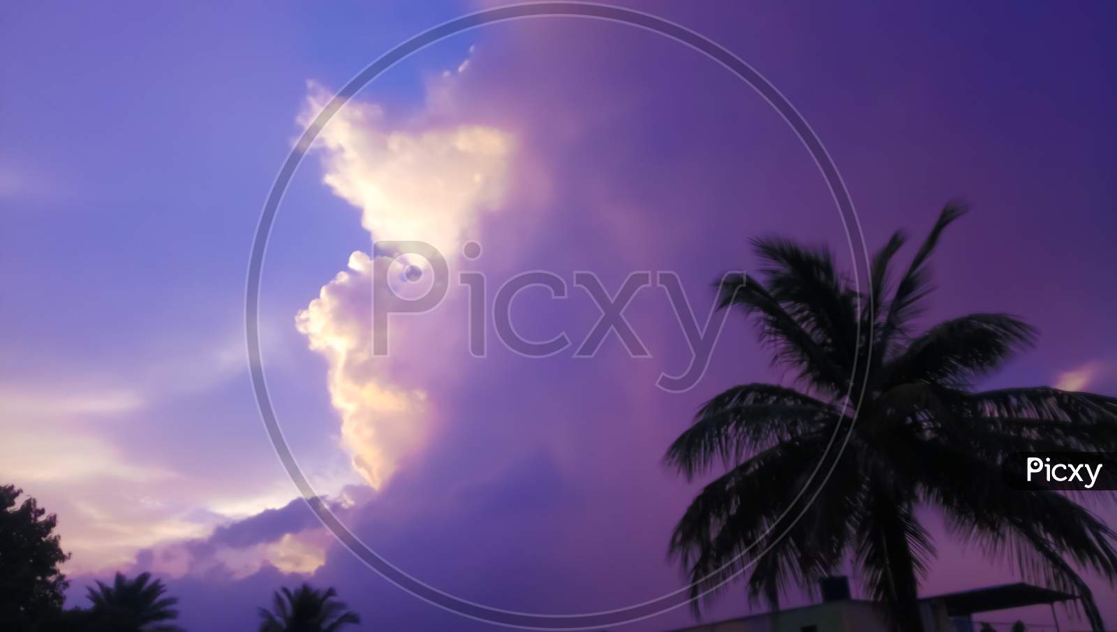 Clouds emerging evening time and coconut tree lockdown covid-19