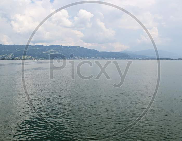 Nature At Lake Constance