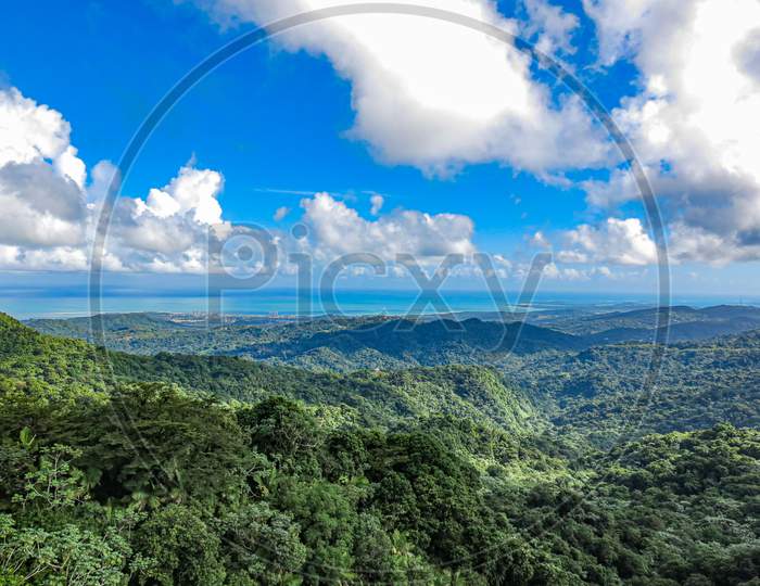 Beautiful View Of El Yunque National Rainforest