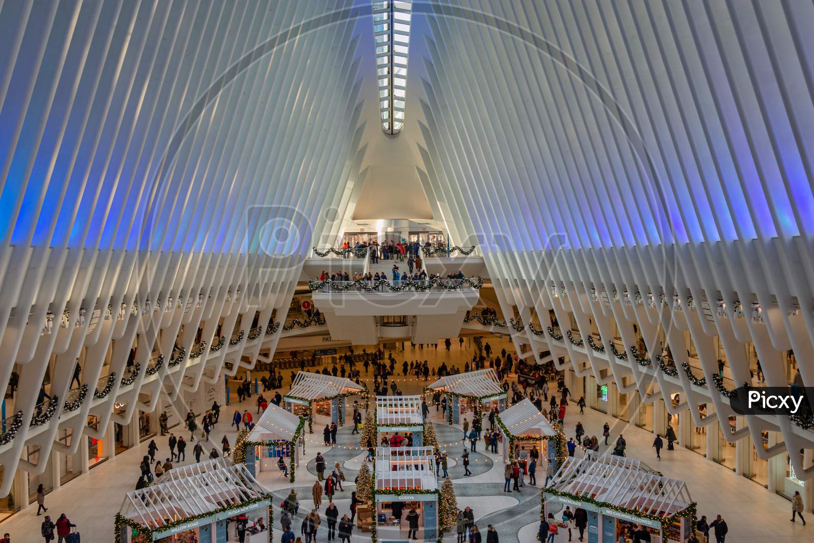 World Trade Center Transportation Hub ( Oculus)  in NYC Financial District from inside