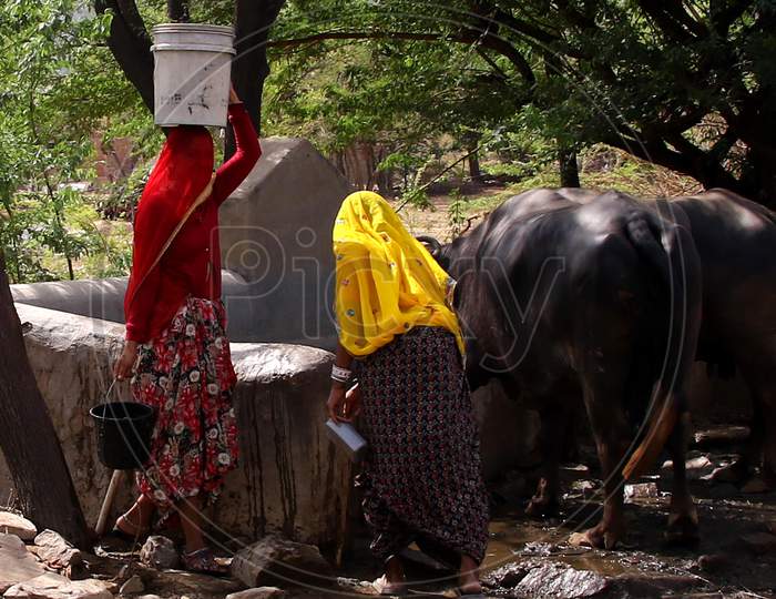 Rajasthani Village Women Collect Drinking Water On a Hot Summer Day On The Outskirts Of Ajmer, In The Indian State Of Rajasthan On May 29, 2020.