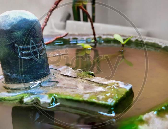 lord shiva lingam/shivling in a flower-pot
