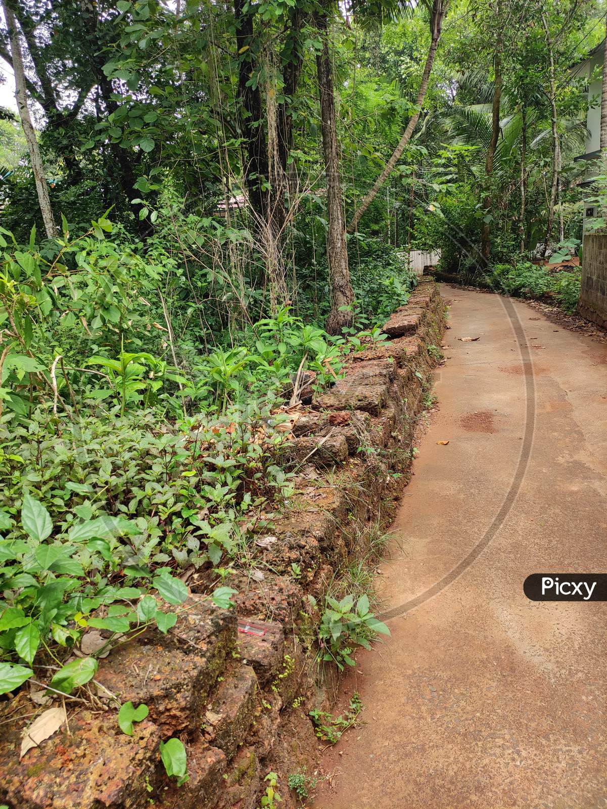 Small roads in Village areas,Kerala