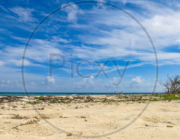 Empty Sandy Beach In Beautiful Puerto Rico