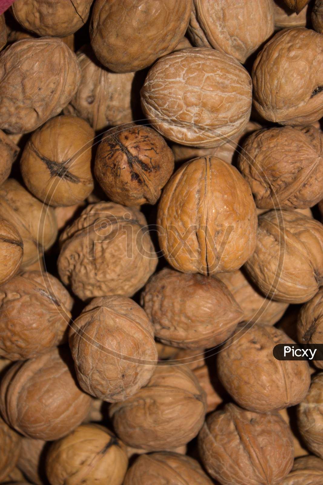 A picture of Walnuts