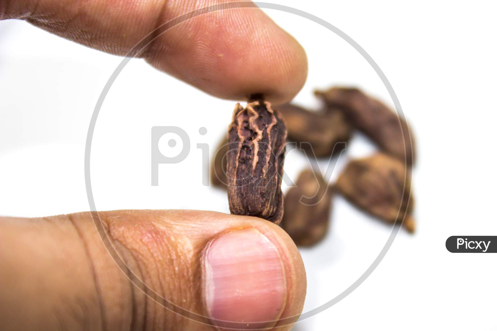 A picture of black cardamom