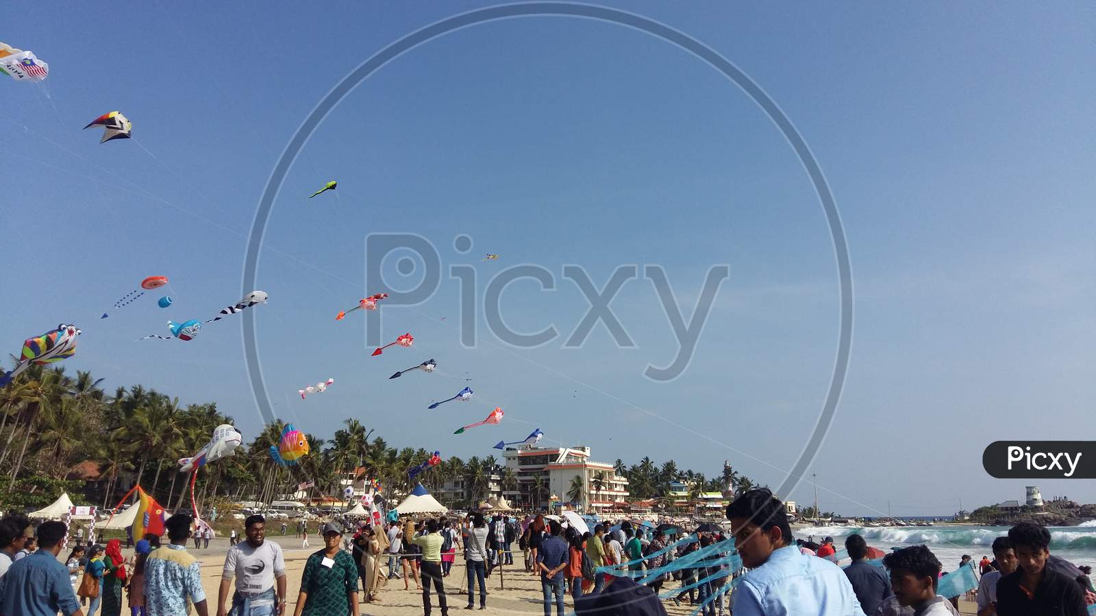 people flying kites on the beach
